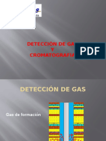 Detección de Gases & Cromatografia