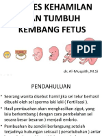 Proses Kehamilan Dan TK Fetus