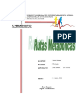 Fisiologia Rutas Metabolicas