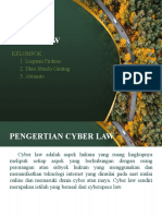 Cyber Law-Etika Profesi