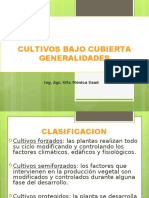 cult bajo cubierta  clase inicial 1.ppt
