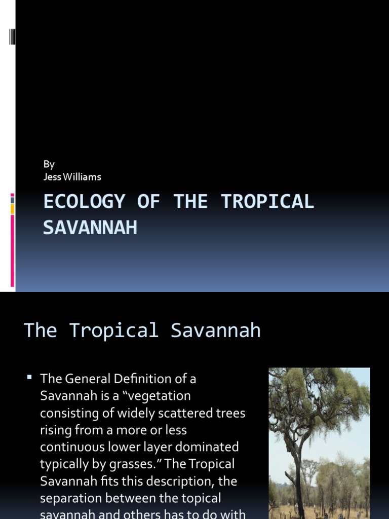 Ecology of The Tropical Savannah | PDF | Science & Mathematics