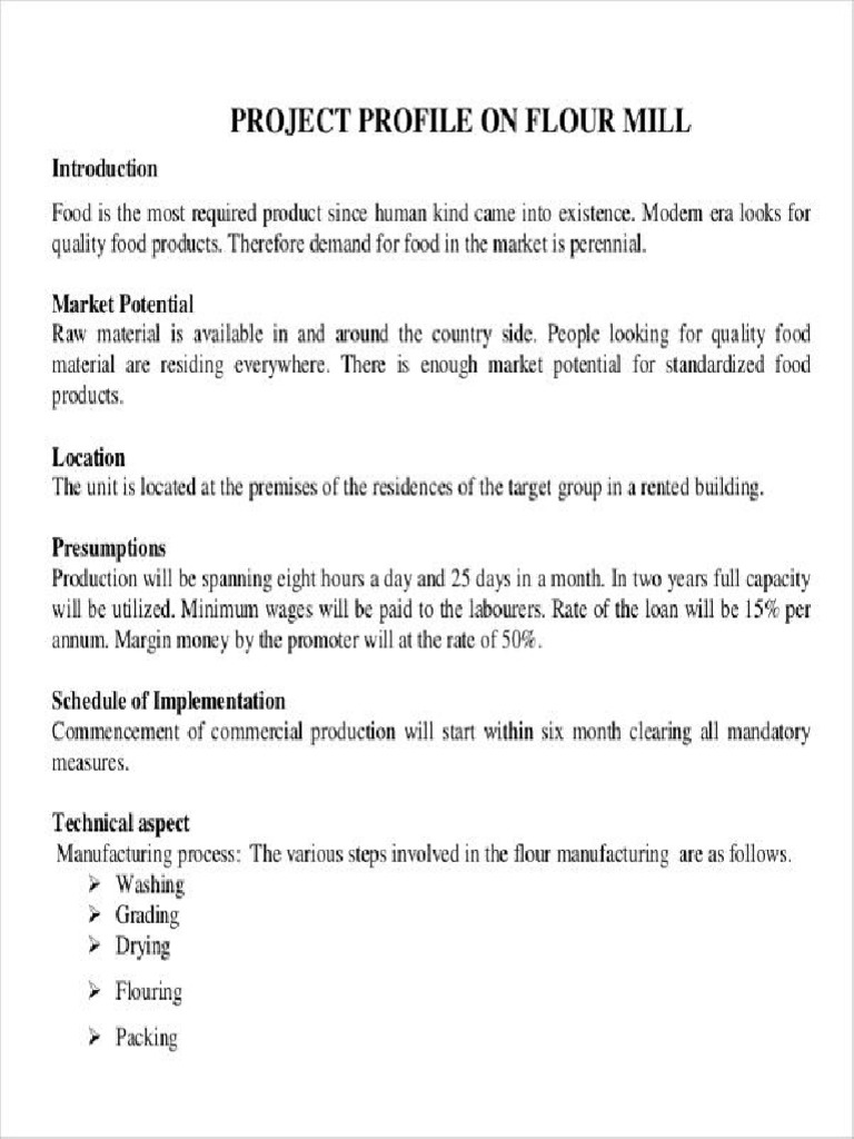 Flour Mill Project Report Example PDF