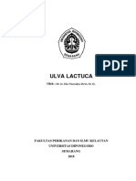 Buku Ulva Fix PDF