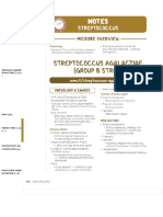 Streptococcus - Indd - Osmosis