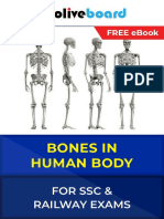 ebook-Bones.pdf
