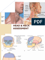 head-neck-1.pdf