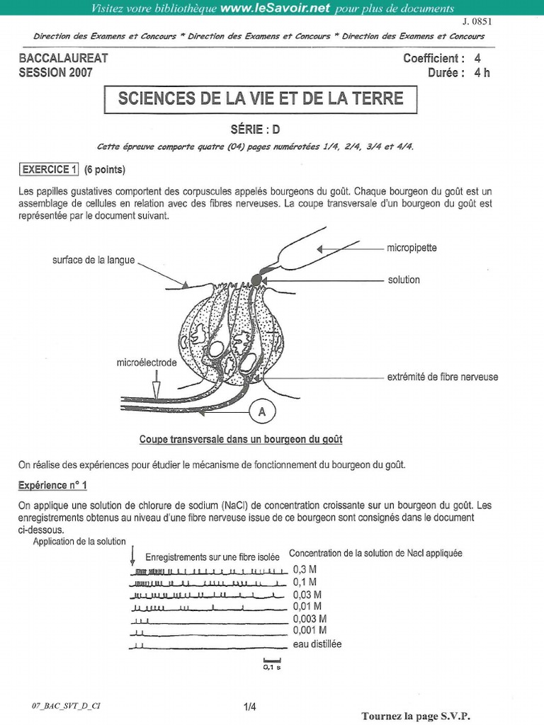 07 Bac SVT D Ci | PDF