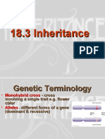 18.3 Inheritance