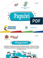 Presentacion Papsivi Municipios