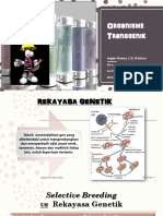 Organisme Transgenik - Anggun Feranisa SSi MBiotech (BLM Di Print)