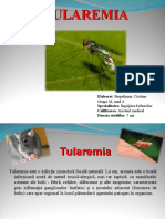 Tularemia Stupeliman Prezentare