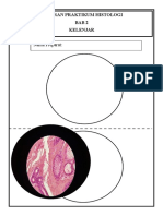 Format Laporan Histologi 2020