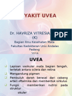 3.4.2.3 Penyakit Uvea