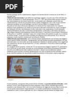 L17.10-12-19 - ANATOMIA%22.pdf
