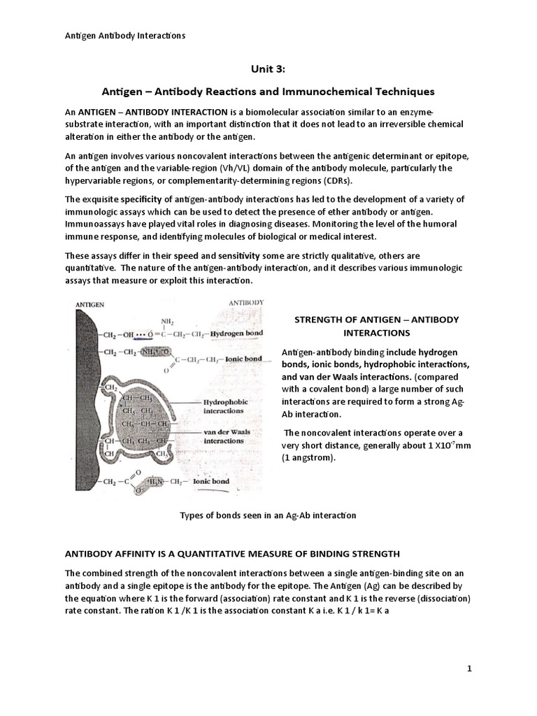 Antigen and Antibody Interactions | PDF | Elisa | Antibody