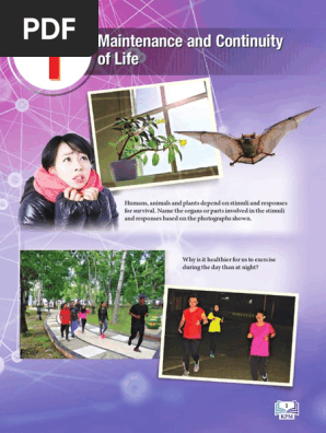 Science Form 3 Text Book Dlp Kssm Pdf Taste Ear