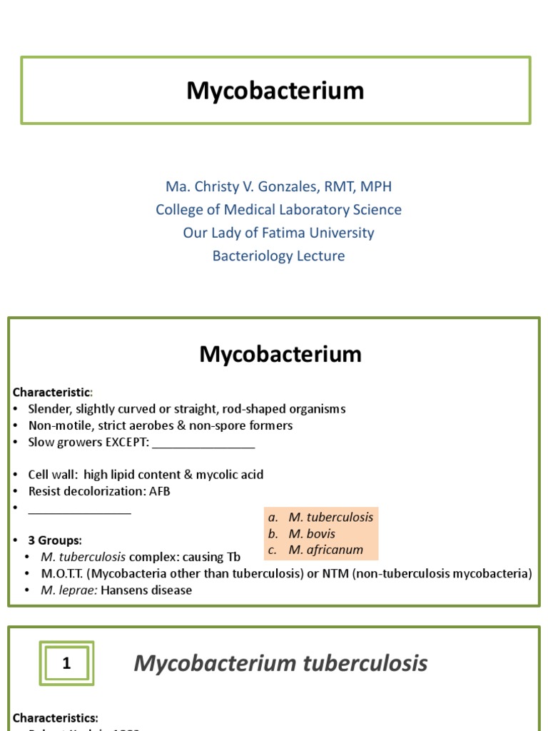 Mycobacterium Mycobacterium Mycobacterium Tuberculosis