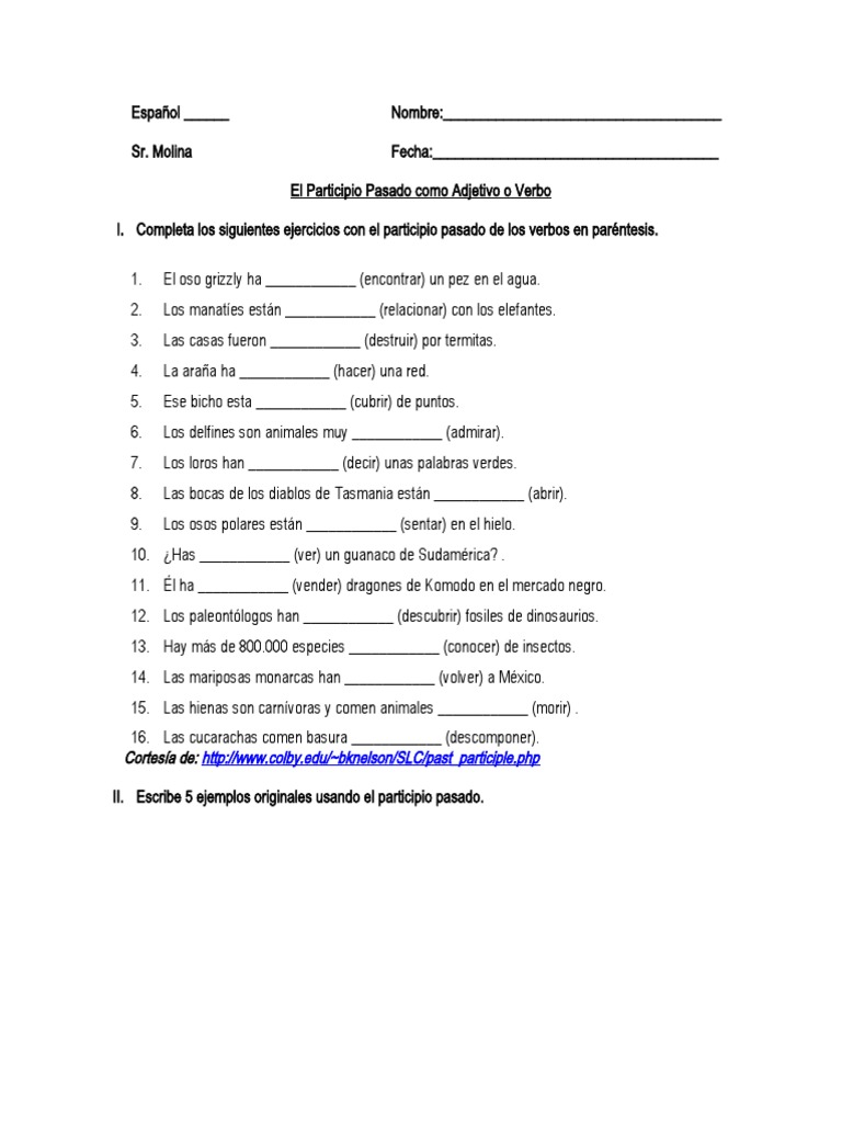 Ejercicios Con El Participio Pasado PDF