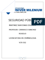 SEGURIDAD PÚBLICA TRBAJO FINAL POR ACABAR