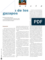 Diarrea De Los Gazapos