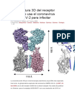 La Estructura 3D Del Receptor ACE2 Que Usa El Coronavirus SARS