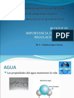 Importancia del agua y regulación del pH en el cuerpo humano