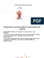 Biomecanica si anatomie functionala - Stagiu Practic - Capul