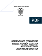 Orientaciones pedagógicas estudiantes discapacidad cognitiva