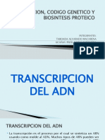 Transcripcion Del Adn Exposicion