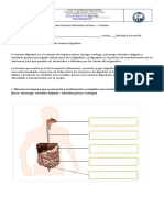 Guia 1 Sistema Digestivo