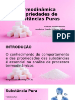 Termodinâmica sub pura apresentação.pptx