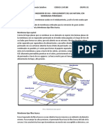 Cuestionario Seminario 8