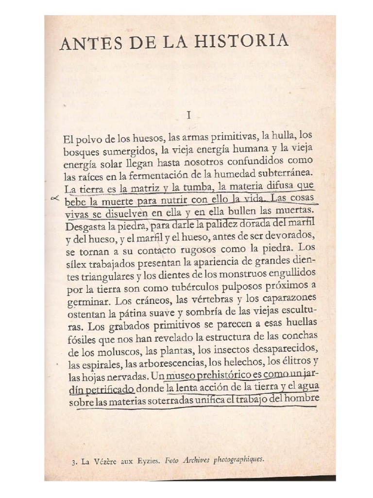 Antes de La Historia , Historia Del Arte Elie Faure PDF