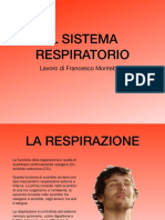 Scienze Motorie Francesco Montebello PDF
