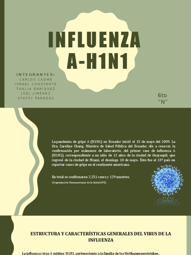 Influenza A - H1N1 | PDF | Virus de la Influenza A Subtipo H1 N1 ...