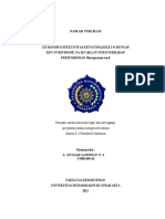 KETOKONAZOL VS ZINC