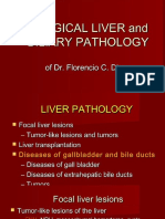 Surgical Pathology of Liver and Gallbladder 