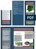 Leaflet Manfaat Daun Sirih 