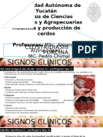 Clostridiasis-Dx-Tx-Y-Prevención. Signos y DX Dif