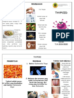 Thypoid Leaflet 2