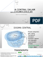 ANDITTA_DOGMA CENTRAL dalam BIOLOGIMOLEKULAR