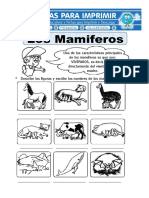 Ficha de Animales Mamíferos para Primaria
