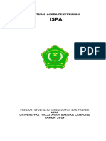 SAP ISPA.docx