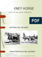 HACKNEY HORSE.pptx