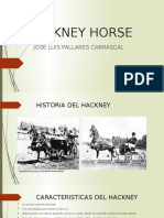 Hackney Horse