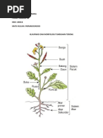 FARMAKOGNOSIS