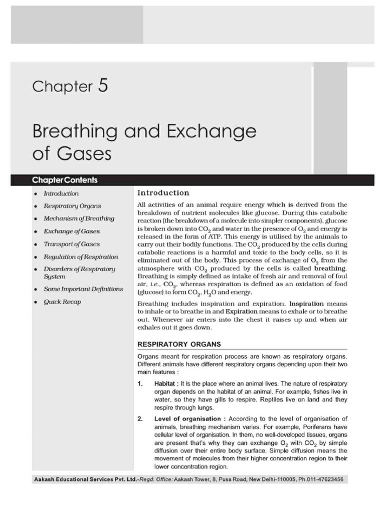 Akash Full Bio PDF | PDF | Respiratory System | Respiratory Tract