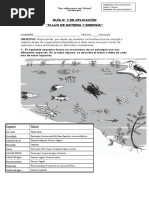 Guía #2 Flujo de Materia y Energía