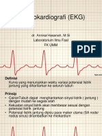 Normal EKG DR - Annisa PDF